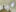 276 Wohnzimmer IMG 8265