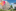 Störer Kappeln Thumbnail 4