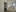 250 Bad IMG 8339